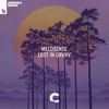 Lost in Gruvv - Single