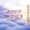 Sleep In Silence - Single album lyrics, reviews, download
