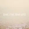 Sane (The Trap Life) [feat. 1NfERN0, Divine, MC STAN, Lost Sky & Serhat Durmus] - Single album lyrics, reviews, download