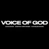 Voice of God (feat. Steffany Gretzinger & Chandler Moore) album lyrics, reviews, download