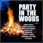 Party in the Woods (Remix) [feat. Afroman] artwork