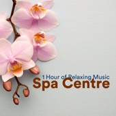 Spa Centre - 1 Hour of Hot Spring Waters and Mud Baths, Turkish bath, Sauna, Pool with jacuzzi artwork