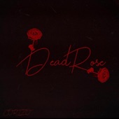 Dead Rose artwork