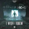 I Wish I Knew - Single album lyrics, reviews, download