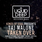 Taken Over (Booker T Main Mix) artwork