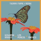 Tierra Firme Remix artwork