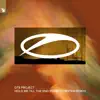 Hold Me Till the End (Ferry Corsten Remix) - Single album lyrics, reviews, download