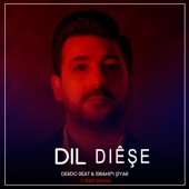 Dil Diêşe (T-Rap Remix) artwork