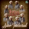 Autor Intelectual - EP