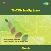 Various Artists - The X Mix Tum Kya Jaano artwork