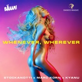 Whenever, Wherever (Extended Mix) artwork