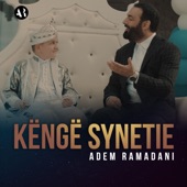 Këngë Synetie artwork