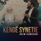 Këngë Synetie artwork