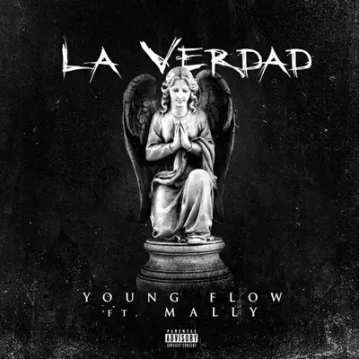 La Verdad (feat. Mally) - Single - Young Flow