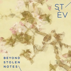 Stev - Origami Flowers