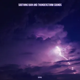 Soothing Rain Sounds by Derrol, Rain Sounds & Thunderstorms song reviws