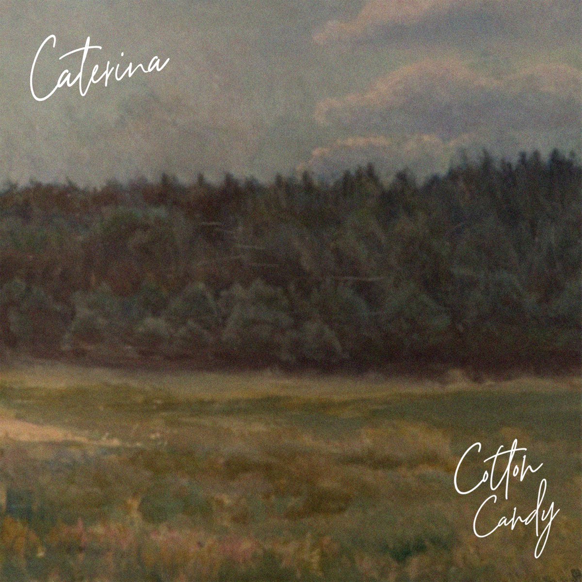 caterina-single-by-cotton-candy-on-apple-music