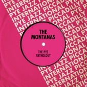The Montanas - Difference of Opinion (Instrumental Version)