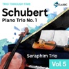 Seraphim Trio - Piano Trio No.1 in B Flat, Op.99 D.898: 2. Andante un poco mosso