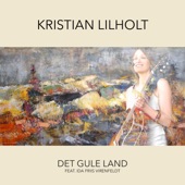 Det Gule Land (feat. Ida Friis Virenfeldt) artwork