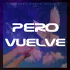 Stream & download Pero Vuelve - Single