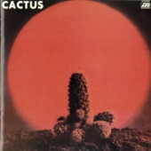 Cactus artwork