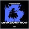 Dragonfruit - Chapinthetrap lyrics