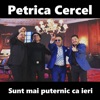 Sunt Mai Puternic Ca Ieri - Single