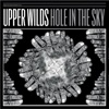 Hole In the Sky - Single