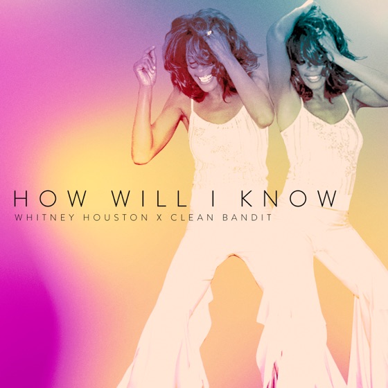 Cover artwork for How Will I Know