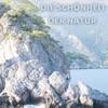 Die Schönheit der Natur