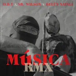 Musica (feat. Sr. Wilson & Belén Natalí) Song Lyrics