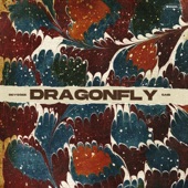Dragonfly artwork