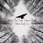 When the Crow Comes Down - Single