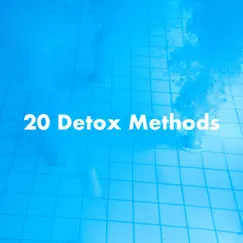 20 Detox Methods That Really Work to Cleanse Your Body by Mental Detox Series & Meditative Music Guru album reviews, ratings, credits