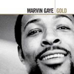 Ain't No Mountain High Enough by Marvin Gaye & Tammi Terrell