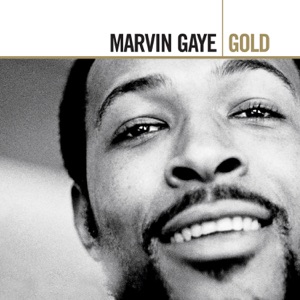 Marvin Gaye - What's Going On - Line Dance Musique