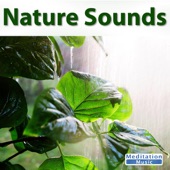 Sounds Of Nature - Ocean Sounds