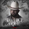 Si Lo Hice y Qué - Single