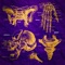 Bones (feat. Third-OX & Minissale) - Ryuk lyrics