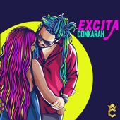 Excita artwork