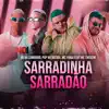 Sarradinha Sarradão (Remix) [feat. MC Theuzyn] - Single album lyrics, reviews, download