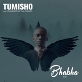 Bhabha (Fly) [feat. Mthandazo Gatya & Comado] artwork