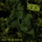...As They Rest - Phyllomedusa lyrics