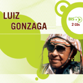 Retrato de Um Forró - Luiz Gonzaga