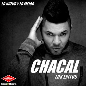 Chacal - No Te Enamores de Mi (Radio Reggaeton Version) - Line Dance Music