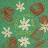 Dirty Cups and Flowers - Single