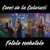 Fetele Cochetele - Single