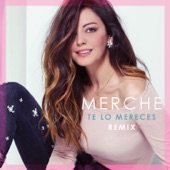 Te Lo Mereces (Remix) artwork