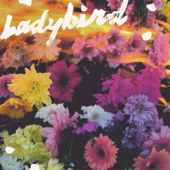 Cover artwork for Ladybird